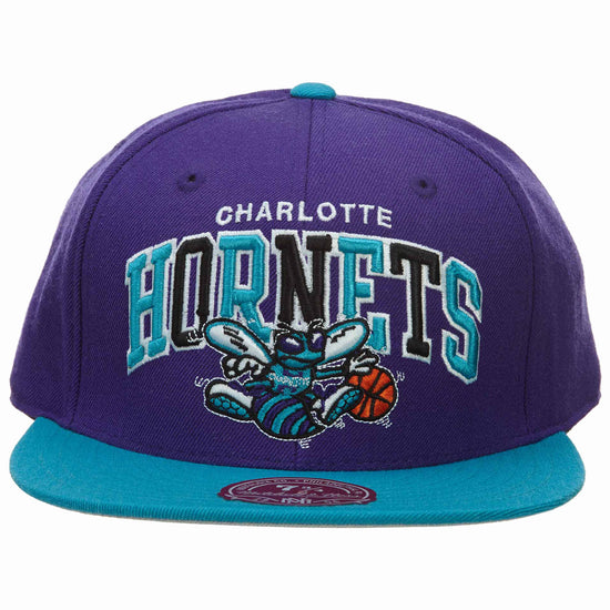 M&N CHARLOTTE HORNETS Style# G022 HORNETS