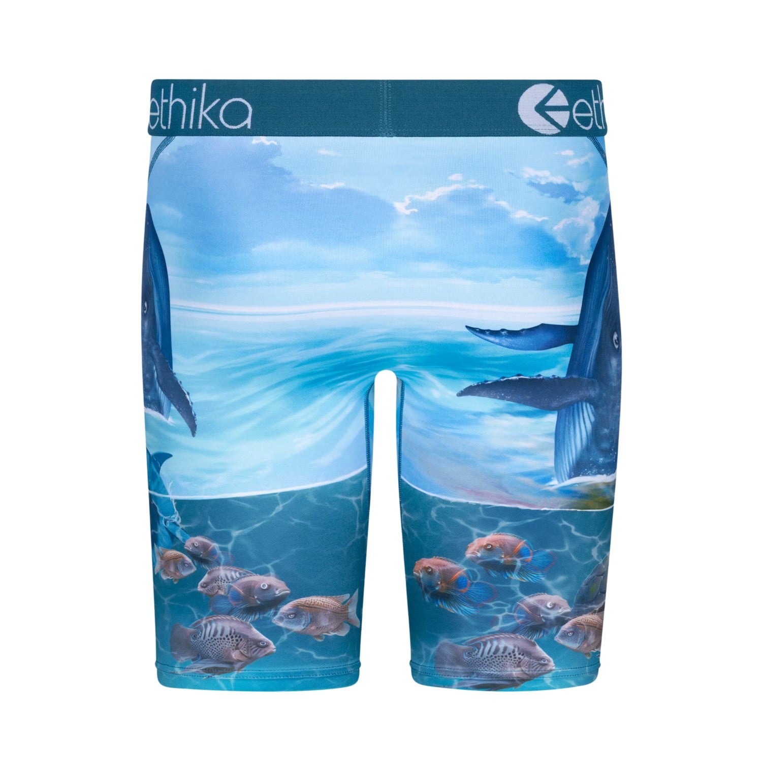 Ethika Voyage Staple Fit Boxer Brief Mens Style : Mlus3158