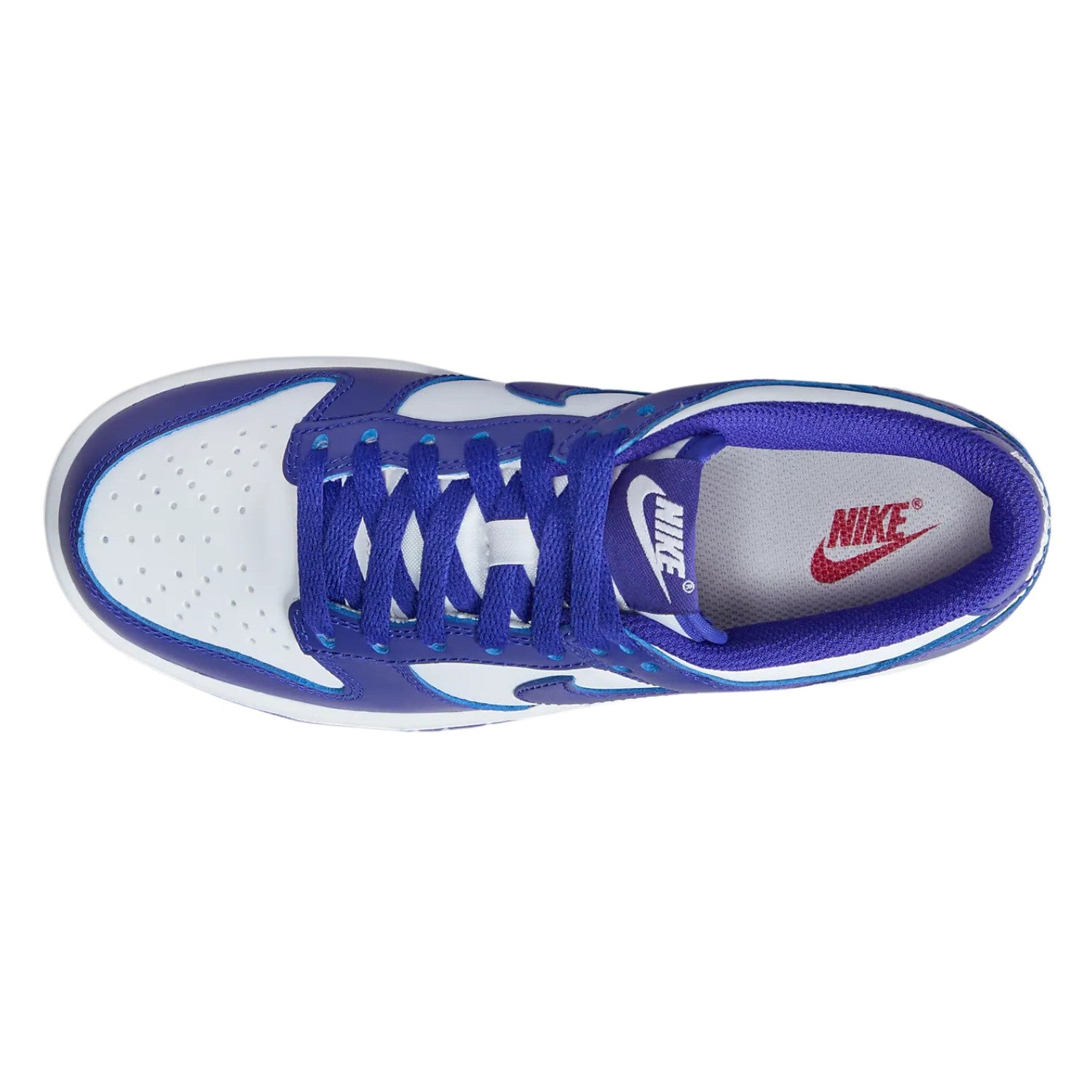 Nike Dunk Low (Gs) Big Kids Style : Fb9109