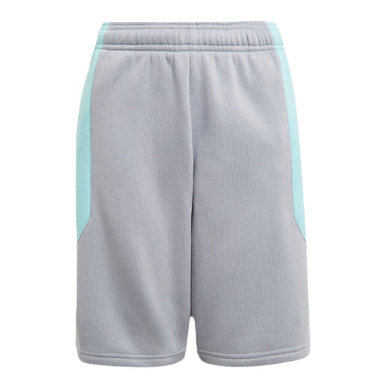 Adidas Spirit Gfx Shorts Big Kids Style : Gn2313